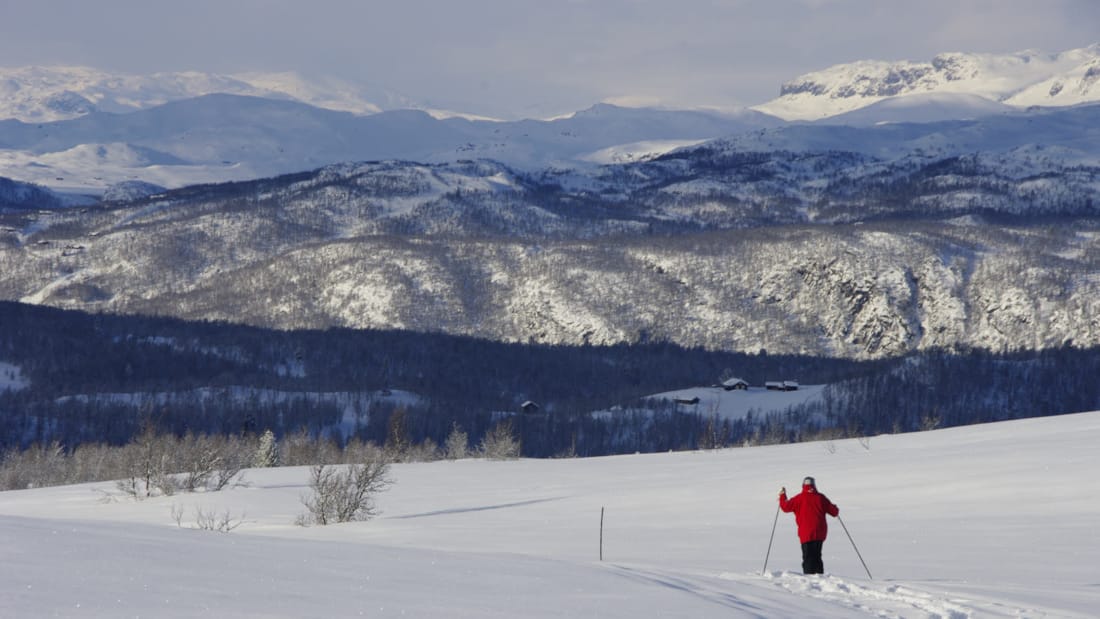 En person som går på ski i snødekket landskap i Hallingdal.