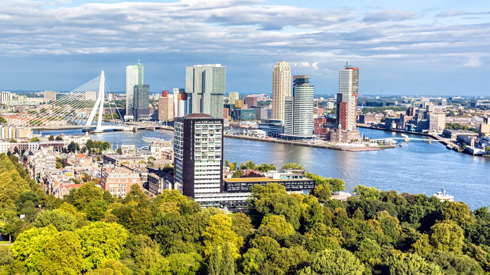 Overzichtsfoto van Rotterdam. Bos op de voorgrond, rivier, wolkenkrabbers en brug op de achtergrond. Blauwe hemel met witte wolken.