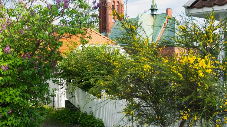 Arendal-kerk op de achtergrond, met gebouwen, tuinen en sites op de voorgrond.