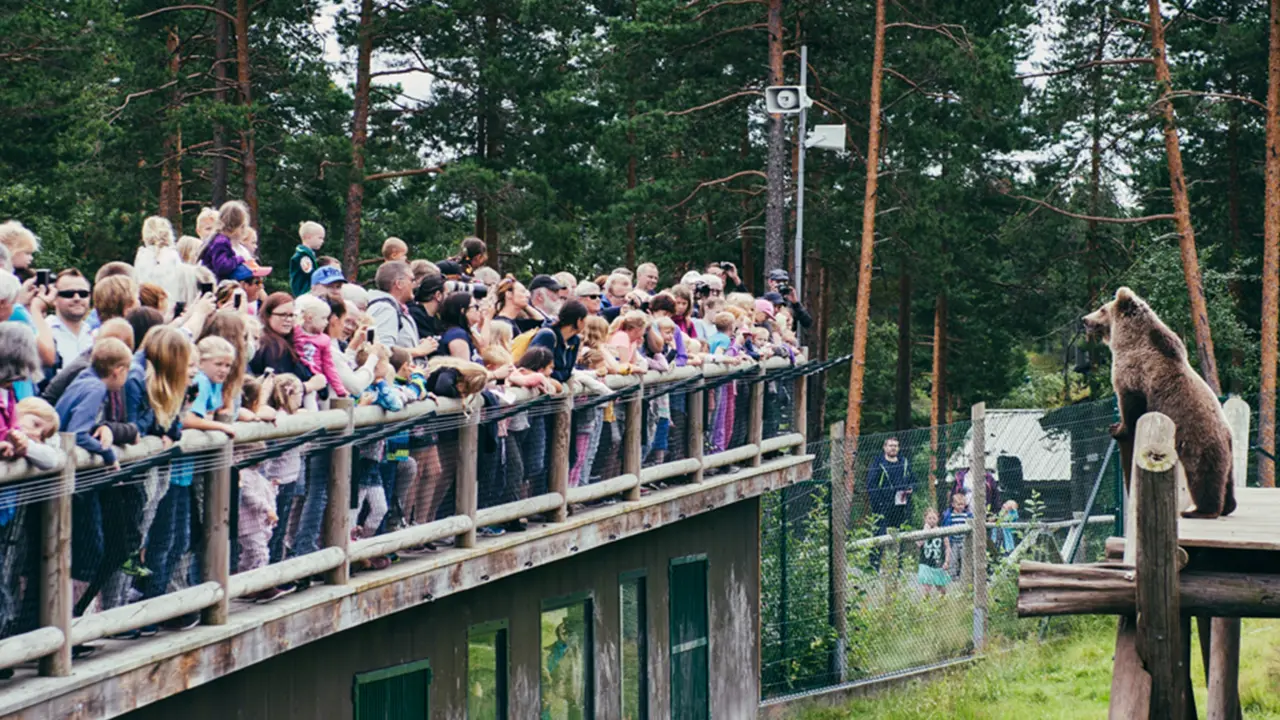En folkemængde kigger på en bjørn i en zoologisk have.