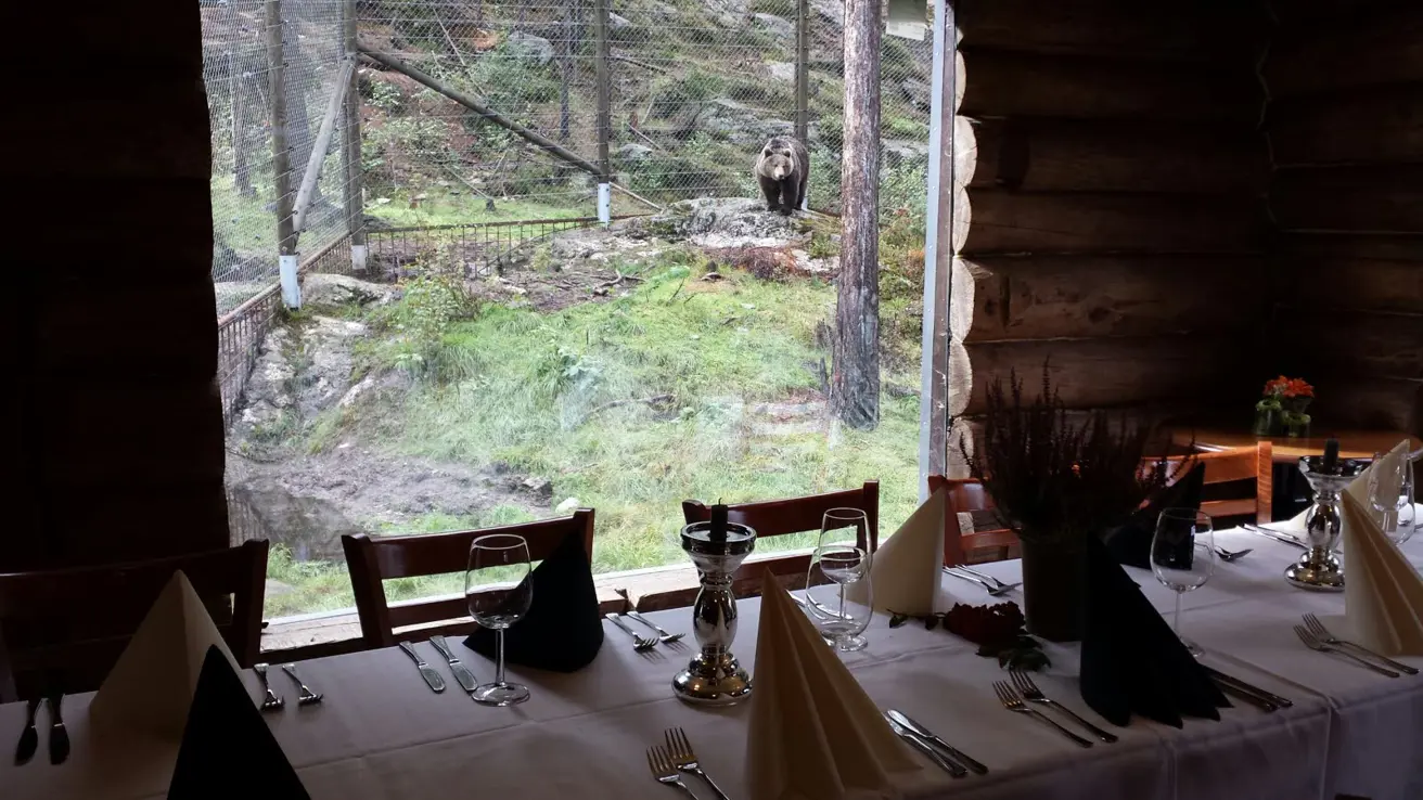 Salle sociale avec table dressée et vue sur Bjørneparken. Un ours est aperçu devant la fenêtre.