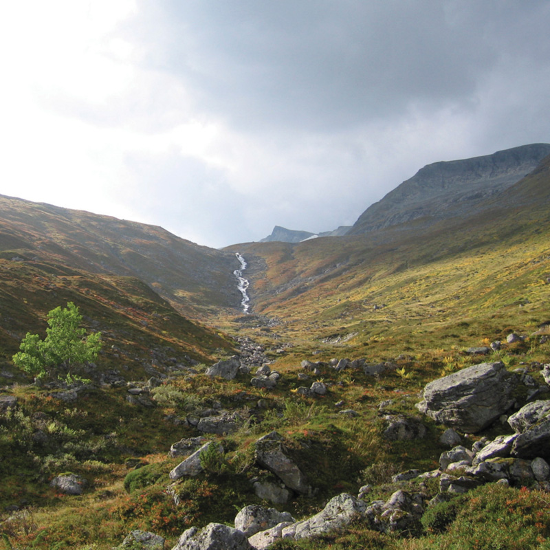Rocky hillside with scattered trees and shrubs.