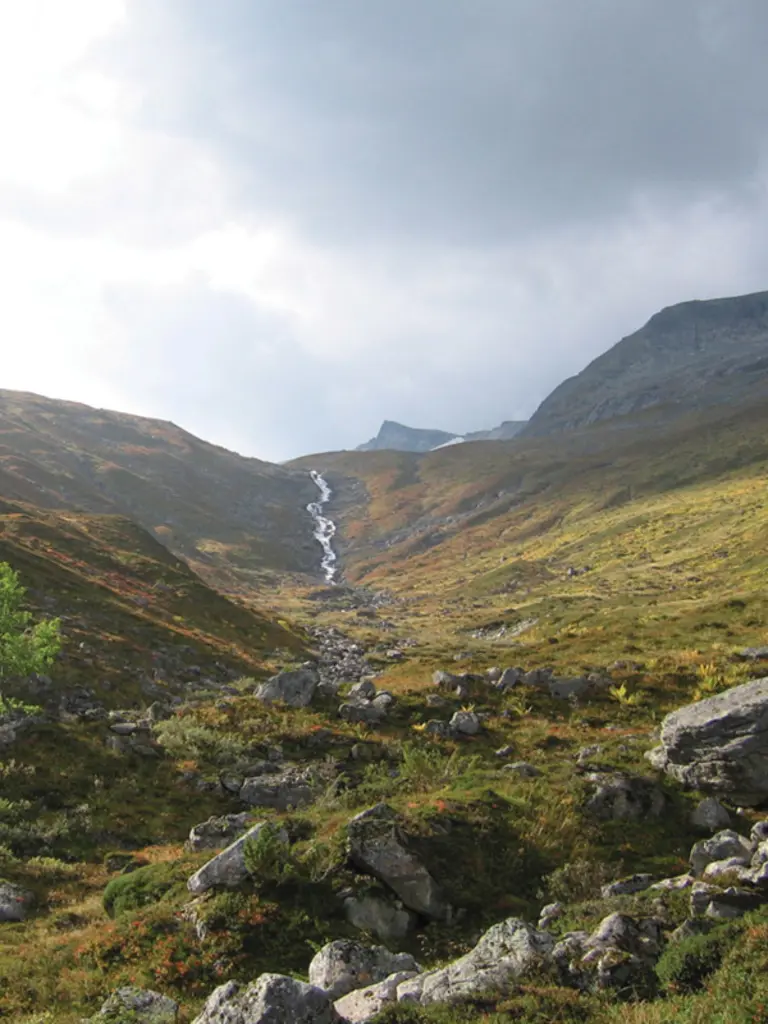 Une côte rocheuse avec des arbres et des buissons épars.