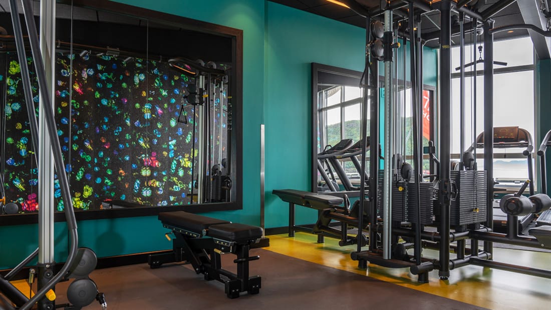 Vægte, løbebånd med udsigt i fitness-rummet på Thon Hotel Harstad
