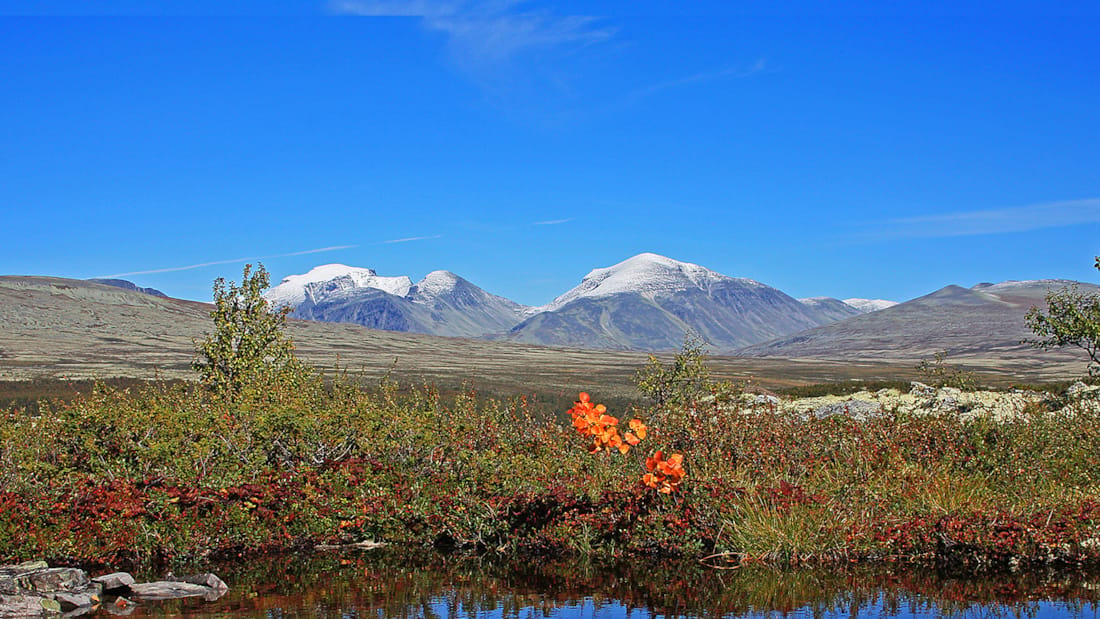 Mountains and plains in Rondane National Park