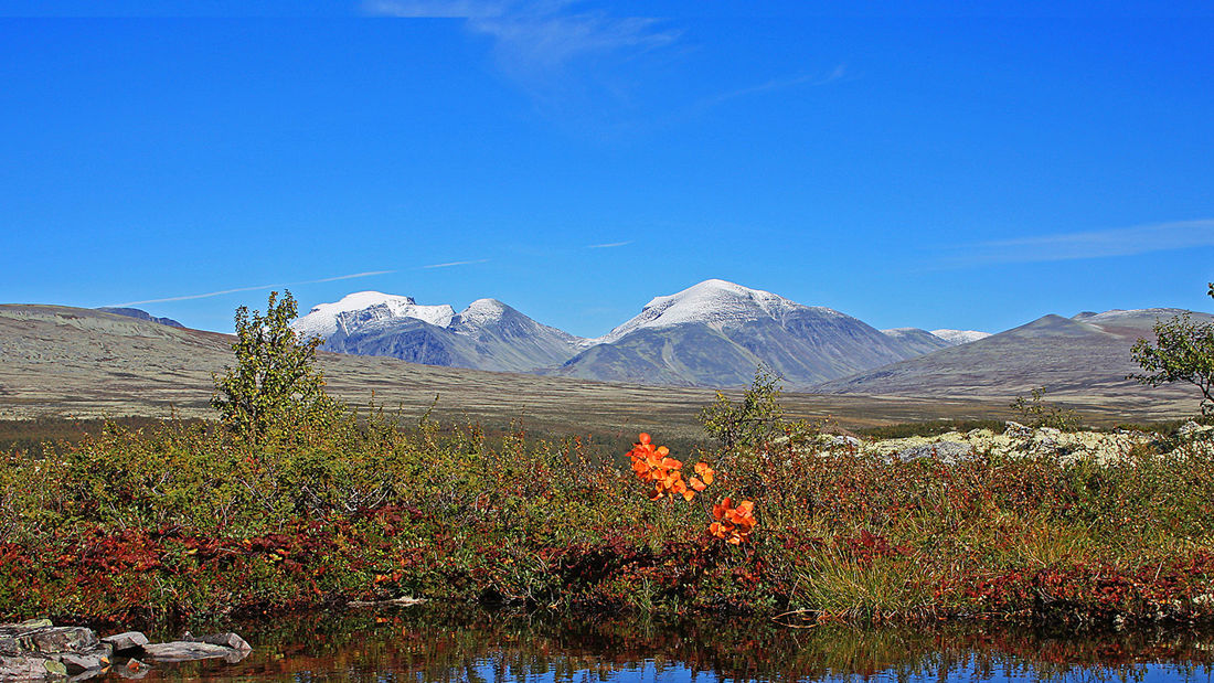 Fjeld og højsletter i Rondane Nationalpark