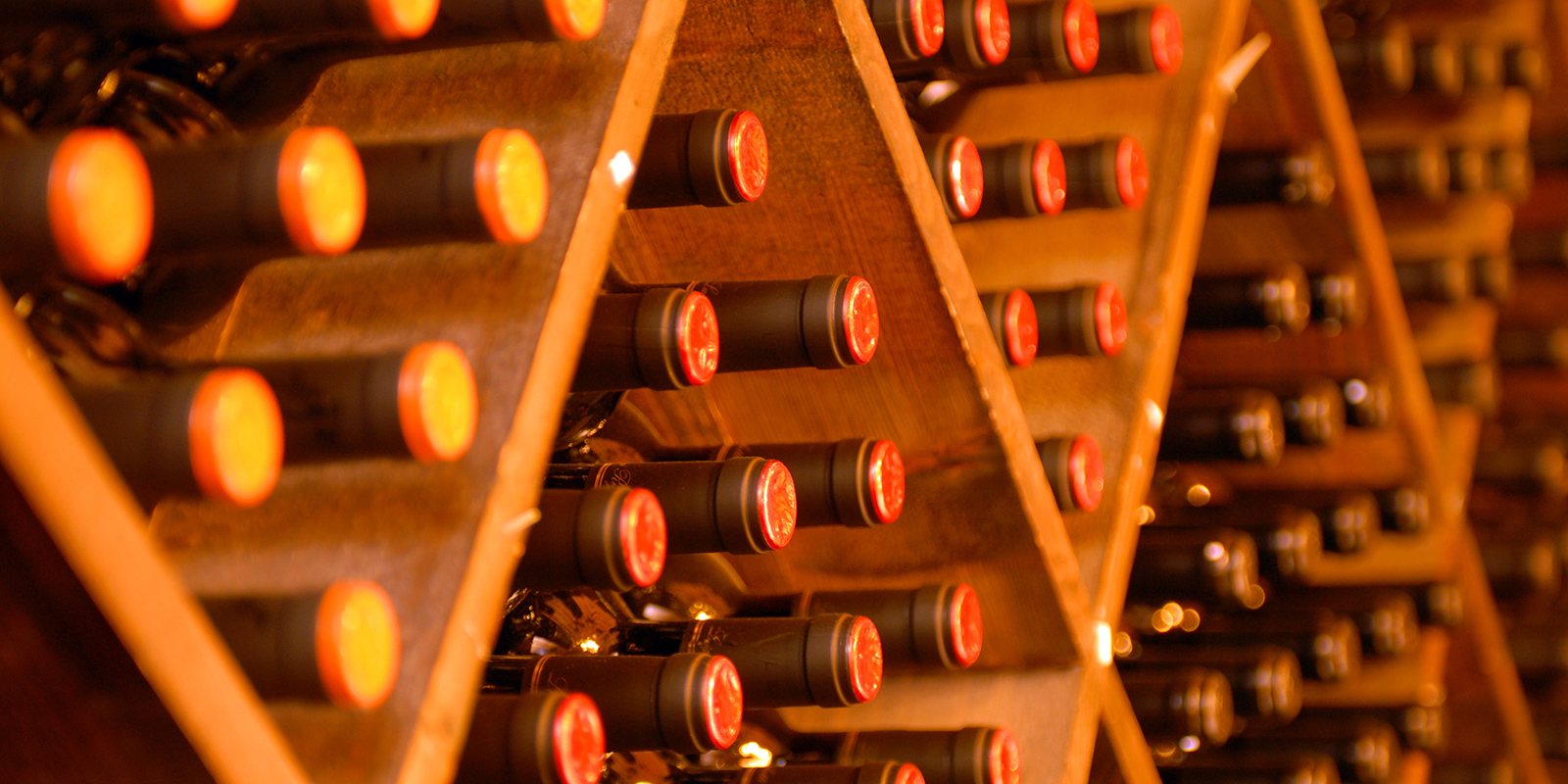 Stativ med vinflasker