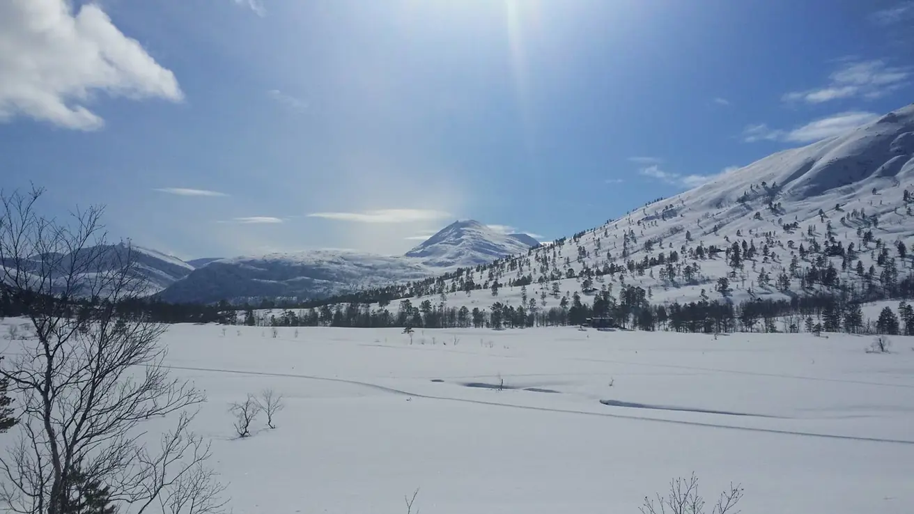 Vindåldalen i Trollheimen utsikt mot langrennsløyer og fjell i bakgrunnen