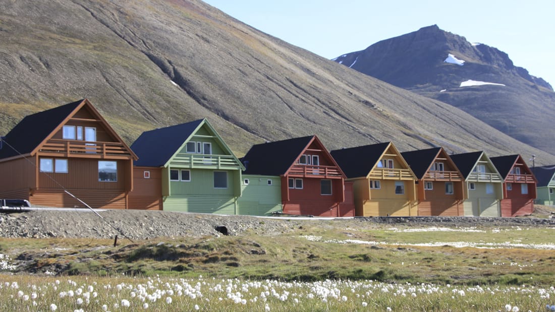 Basecamp Spitsbergen spidshusene