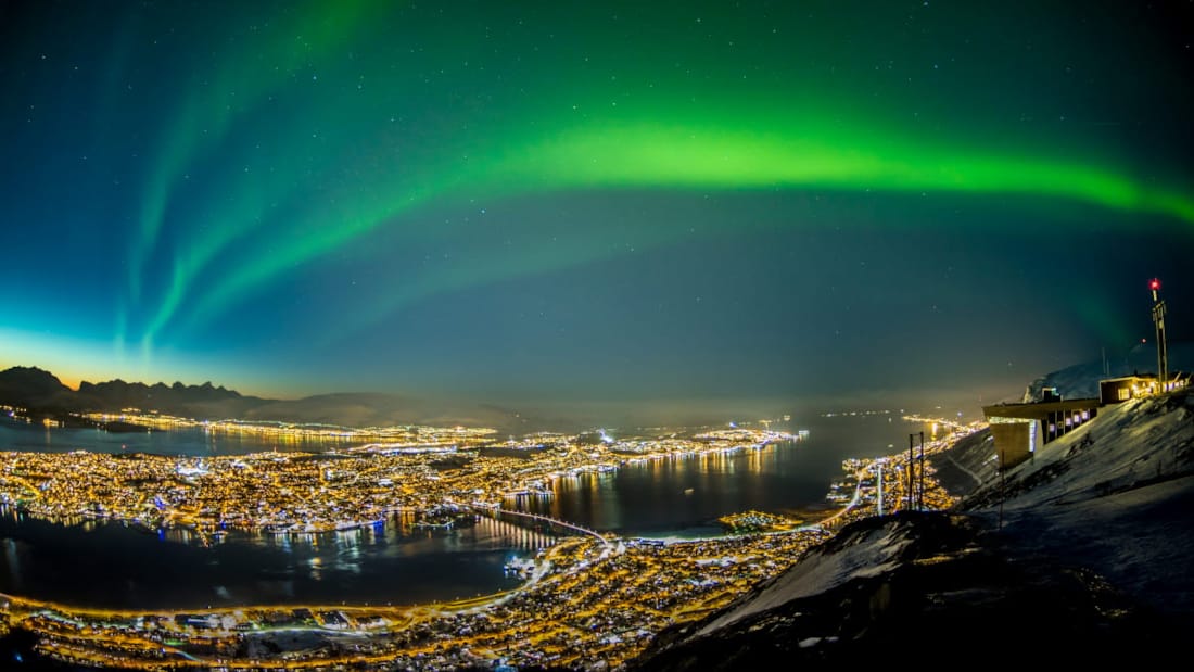 Valsafari utanför Tromsø – En minnesvärd upplevelse när du bor på våra hotell i Tromsø.