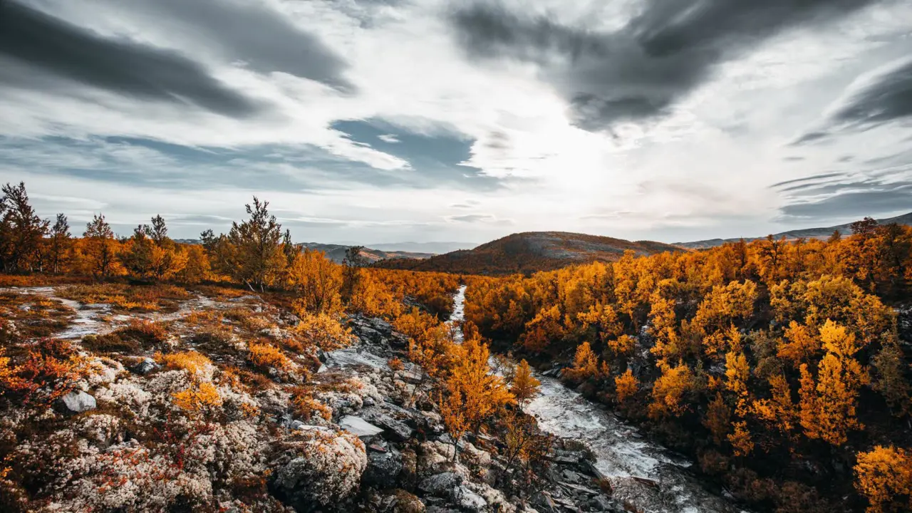 Høstlandskap med elv og trær.