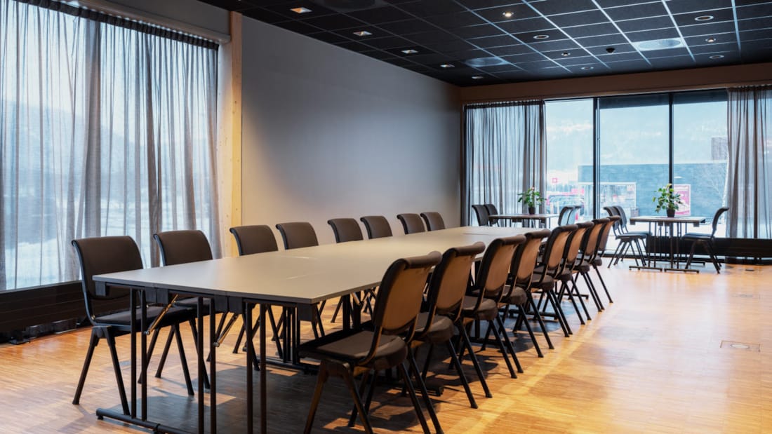 Solveig-mødelokale med langbord med 16 pladser + små borde med fire siddepladser langs vinduerne. Vinduer på to sider.