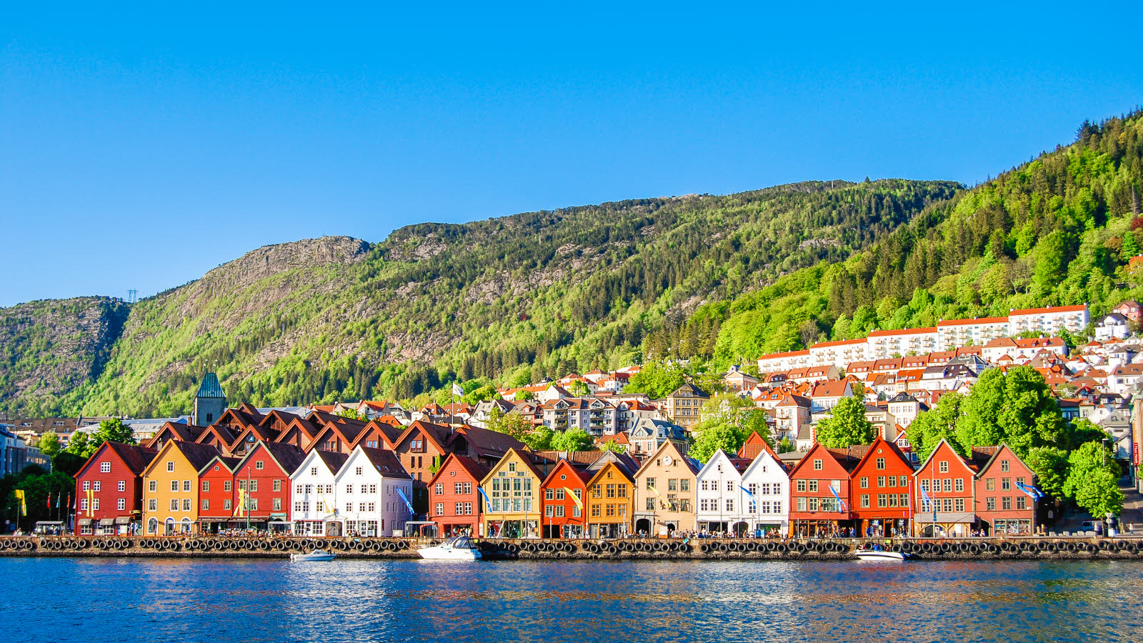 Bryggen in Bergen with its characteristic buildings. Vågen in foreground. Green mountains in background.