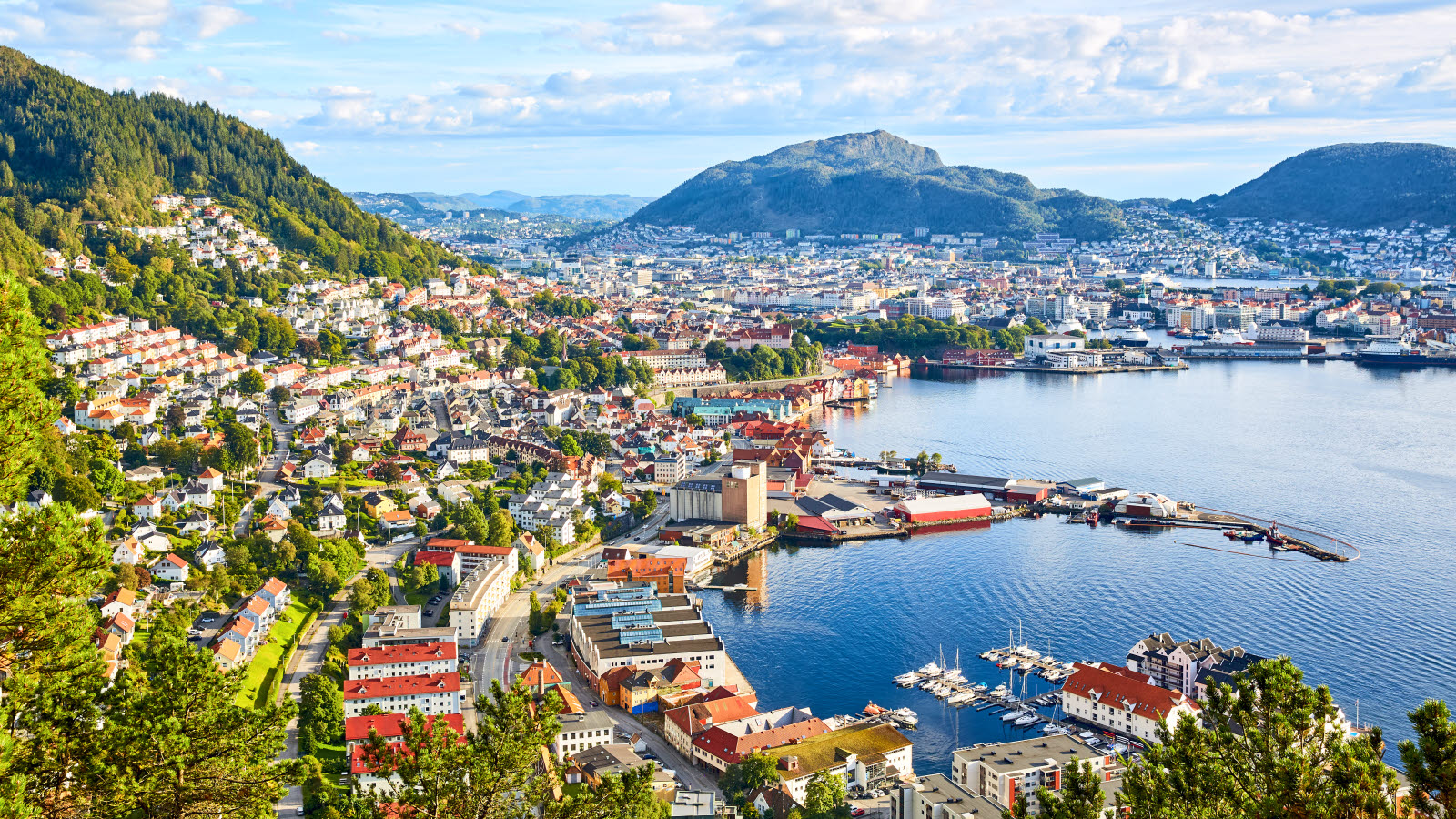 Aerial view of Bergen city on sunny summer day. Sandviken in the foreground.
