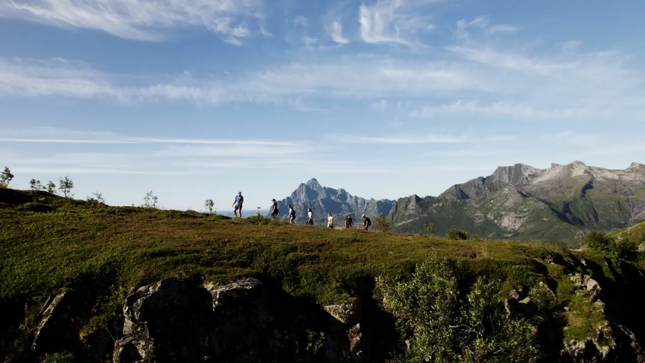View of mountain landscape and blue sea in Lofoten as seen from above.