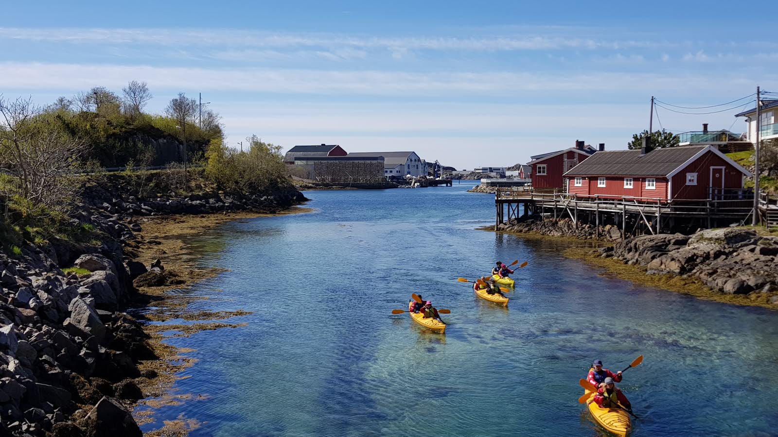 Eight kayakers into four kayaks paddling on the water in Lofoten. There are both rocky outcrops and buildings along the water.
