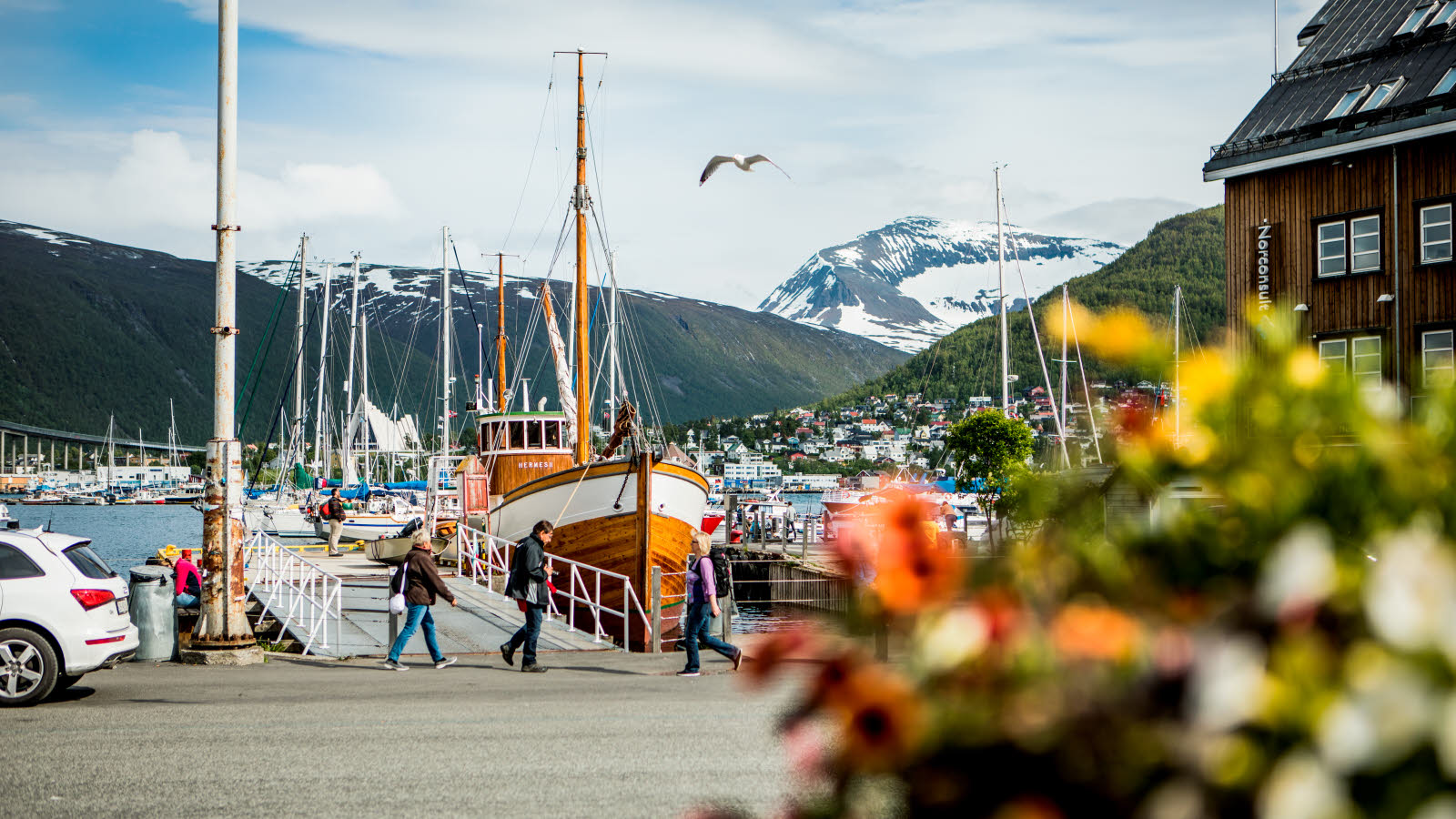 Un bateau de pêche est amarré à l’une des jetées de Tromsø. En arrière-plan, la cathédrale arctique, des montagnes vertes et quelques montagnes enneigées.