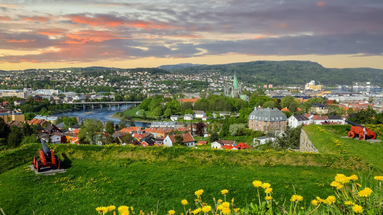 View of Trondheim from Kristiansten Fortress. Midtbyen to the right and Øya to the left. In the middle are Nidelva, Elgseter bridge and Nidaros Cathedral. Green grass, Coltsfoot and cannon from Kristiansten Fortress in the foreground. Pink and grey clouds on the horizon.