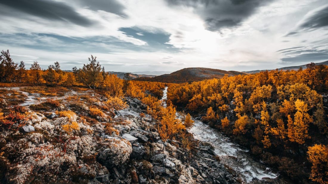 Herfstbeelden van Vinstra, met bomen in herfstkleuren, bergen op de achtergrond, stenige hellingen en bomen bij een beek die door het landschap stroomt. De lucht is bewolkt, maar de zon staat op het punt om door te breken.