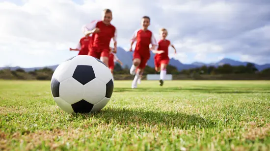 Football pitch with the Norway Cup logo