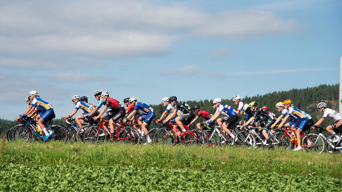 Cross country cyclists with green field with flowers and a blue sky