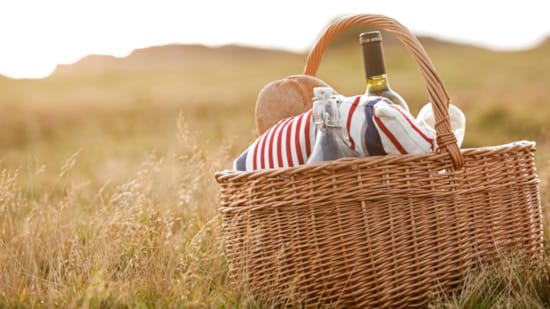 Picnic basket in field of grass