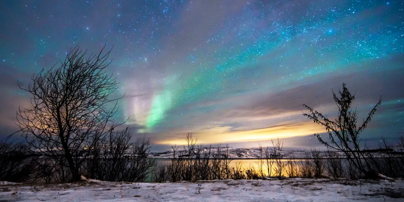 Aurores boréales roses et vertes sur un ciel étoilé avec des paysages hivernaux et des arbres en avant-plan.