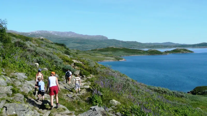 Family hiking in a summery landscape. Water on the right. Steep green landscape on the left.