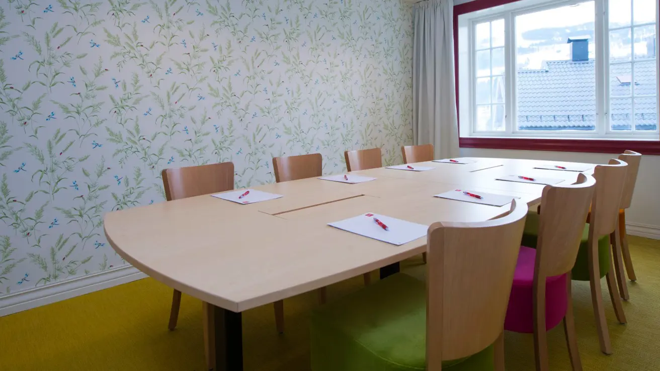 konferanserom Venelien