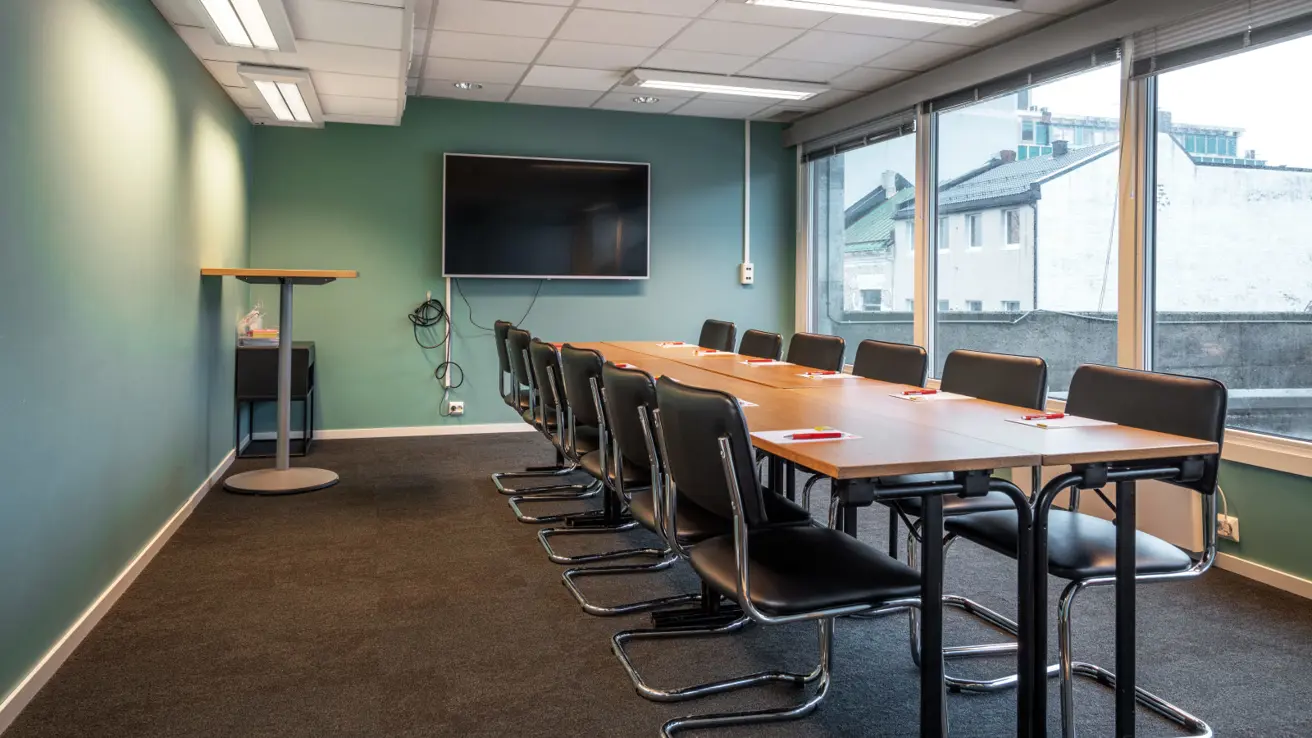 konferanserom ravnedalen