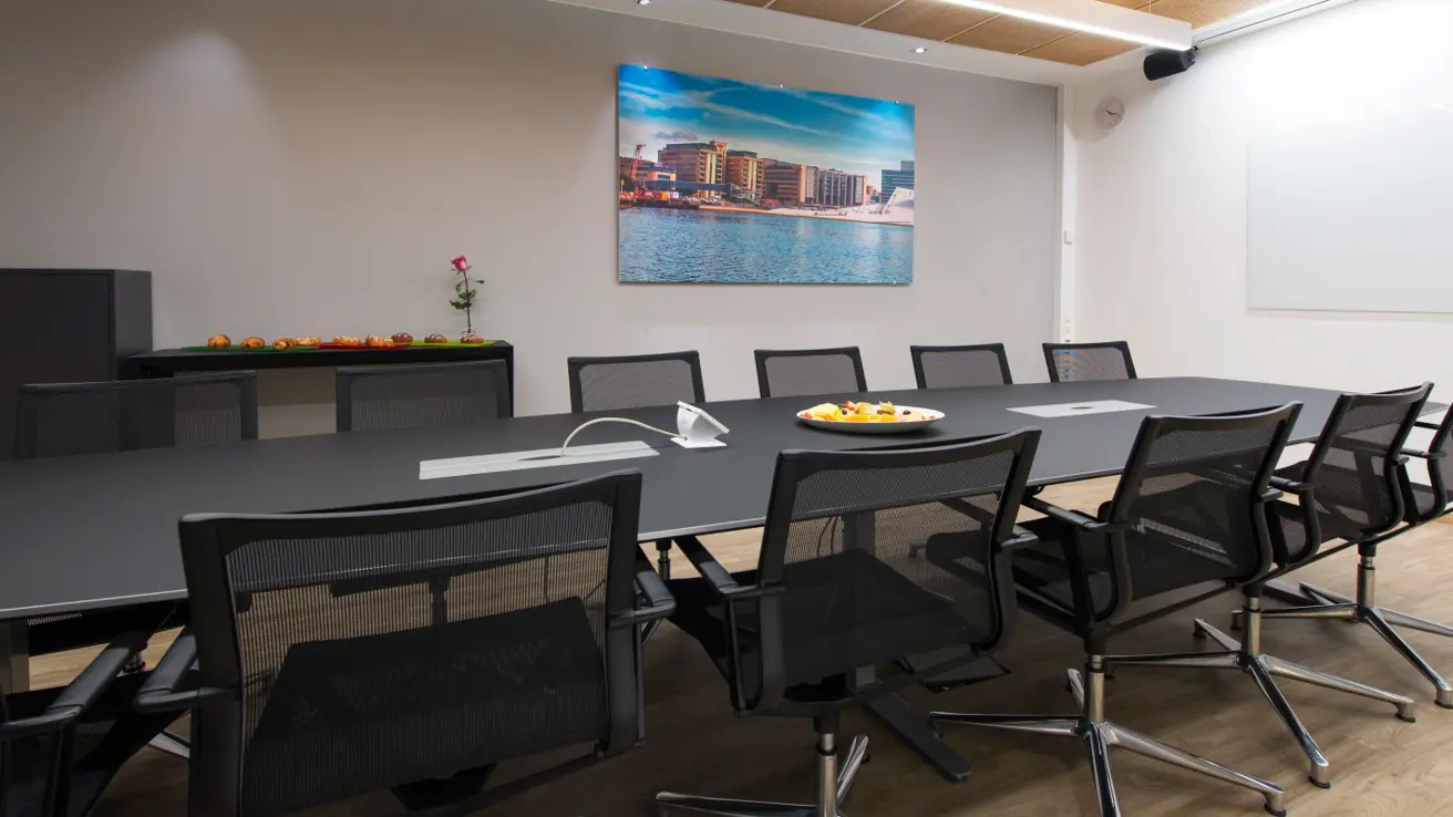 konferanserom fidelio 12 plasser