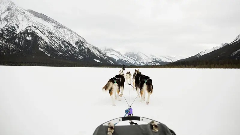 Ribbåt på havet utenfor Thon Hotel Kirkenes